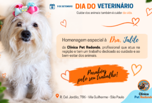 DIA DO VETERINÁRIO: CUIDAR DOS ANIMAIS TAMBÉM É CUIDAR DA VIDA