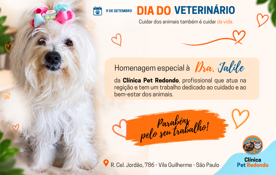 DIA DO VETERINÁRIO: CUIDAR DOS ANIMAIS TAMBÉM É CUIDAR DA VIDA