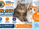 FIV e FeLV em gatos: import&acirc;ncia dos testes e da vacina&ccedil;&atilde;o