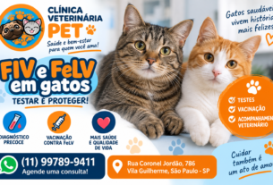 FIV e FeLV em gatos: importância dos testes e da vacinação