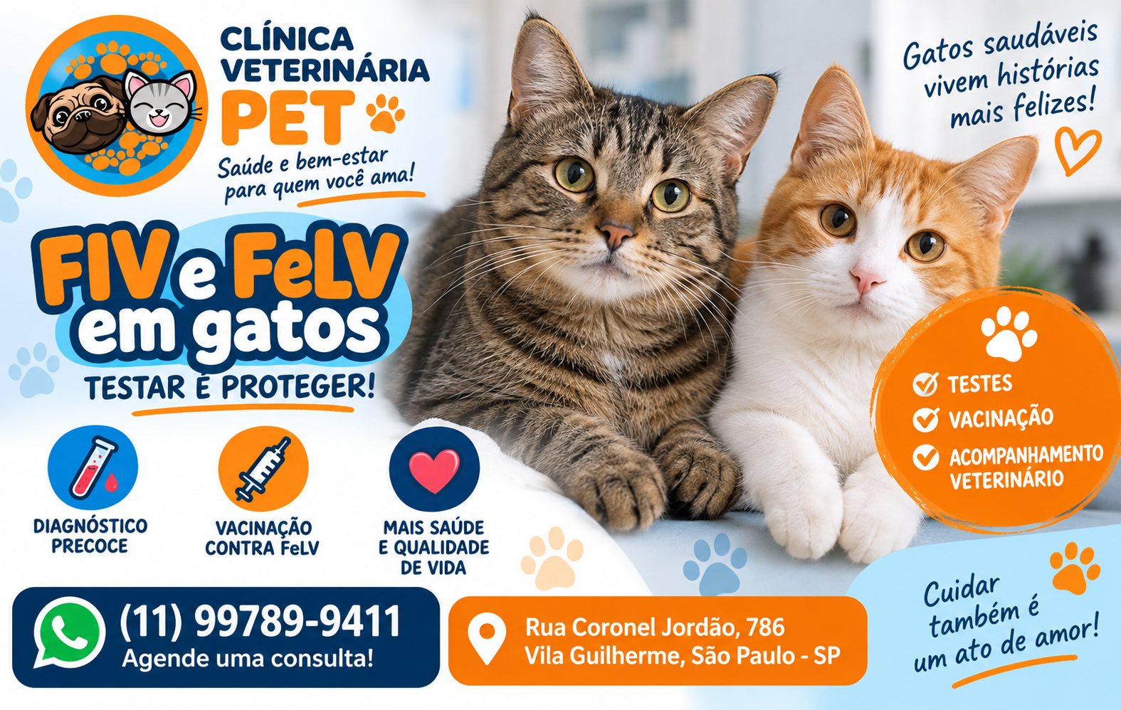 FIV e FeLV em gatos: importância dos testes e da vacinação