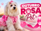 Outubro Rosa Pet: conhe&ccedil;a os sinais do c&acirc;ncer de mama em cadelas e gatas