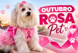Outubro Rosa Pet: conheça os sinais do câncer de mama em cadelas e gatas