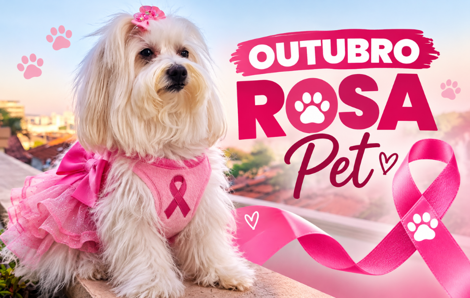 Outubro Rosa Pet: conheça os sinais do câncer de mama em cadelas e gatas